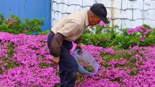 「九点听歌」王辰 | 不能带你看这世界，就为你种一片花海