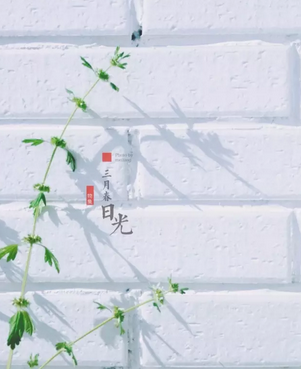 这个四月有点“绿” | 海燕醇美时间-vol.26