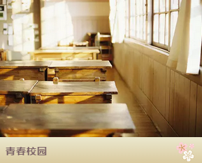 谁的青春没校园——约在二月兰 重走校园路