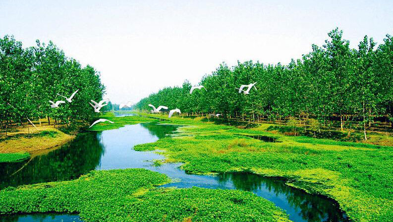 6亿重金打造的湿地公园，带你来看看！