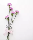「九点听歌」王辰 | 我妈是花仙子啊！